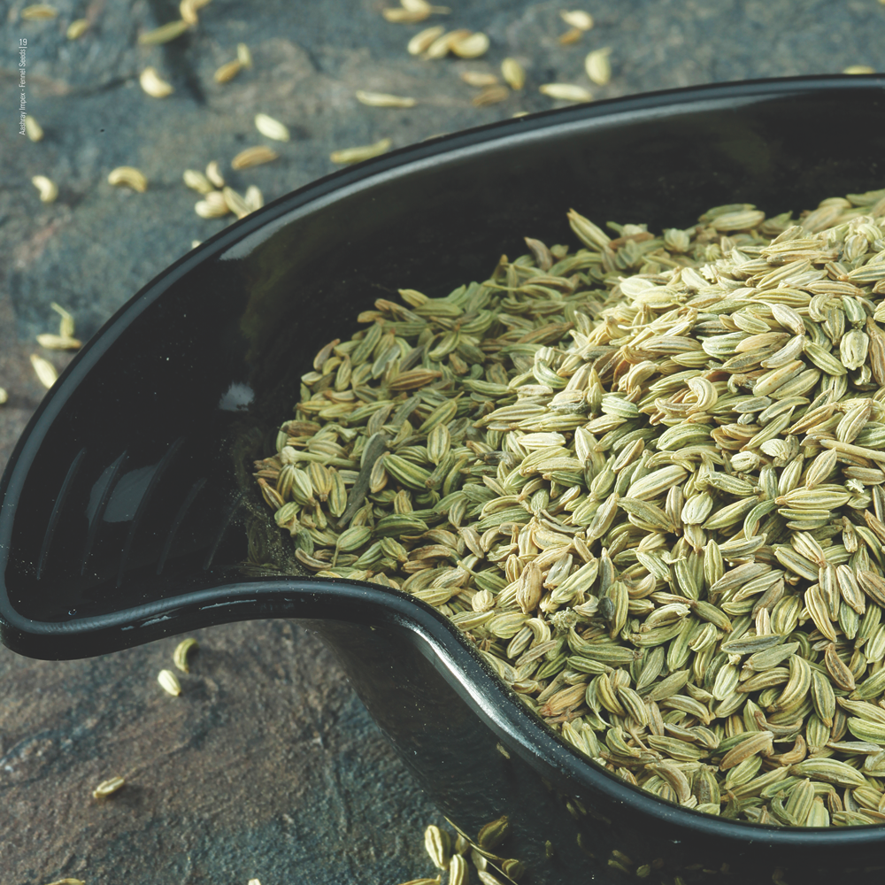 FENNEL SEEDS